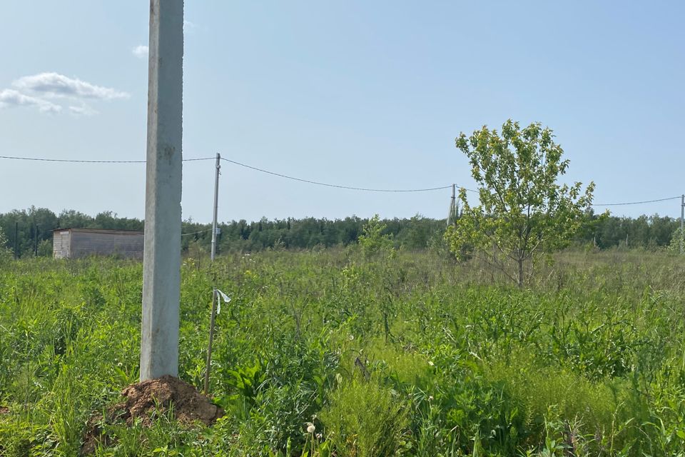 СНТ Родник Калининград. СНТ Икар Калининградская область.