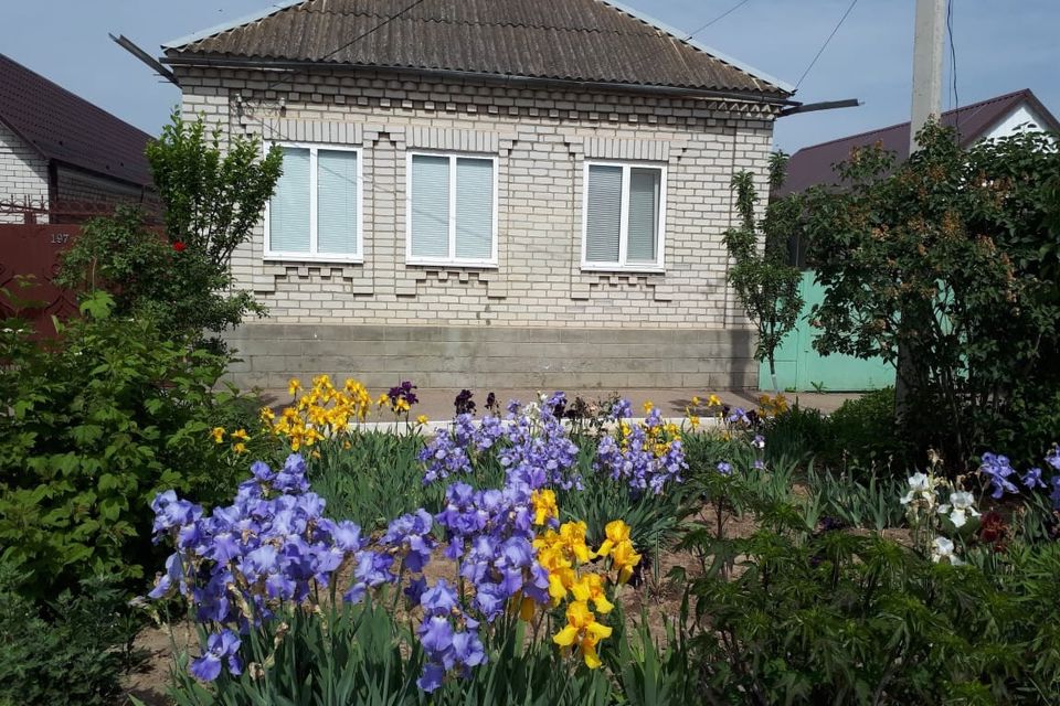 Погода в стародубское буденновский. Красноармейская улица, будённовск, Ставропольский край. Буденновск улица Кларинская. Стародубское Буденновский район. Недвижимость в будённовске Ставропольского края.