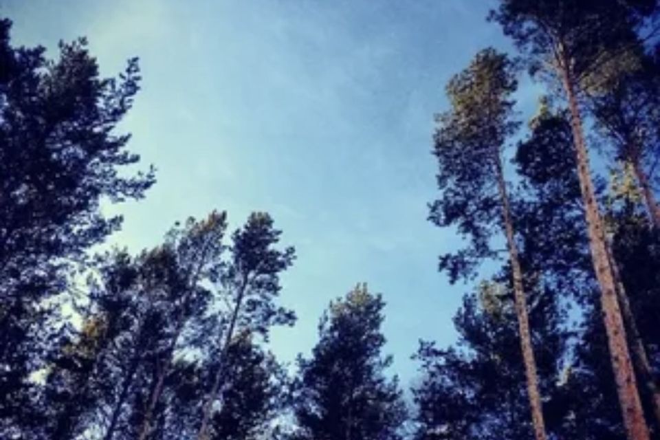 Байкальский тракт 28 км. Хрустальный Байкальский тракт. Фото Хрустального на Байкальском тракте. Набережная 28 км Байкальского тракта