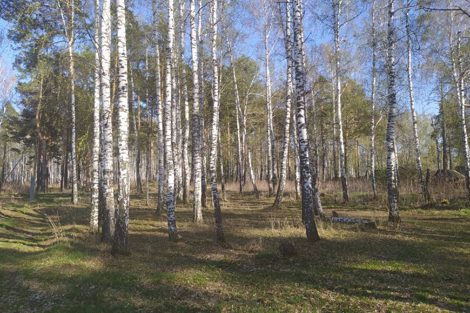 Поселок зеленая свердловская область. Студенческий Белоярский район Свердловская область. Поселок студенческий Свердловская область.