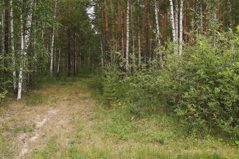 Купить Сад В Белоярском Районе Свердловской Области