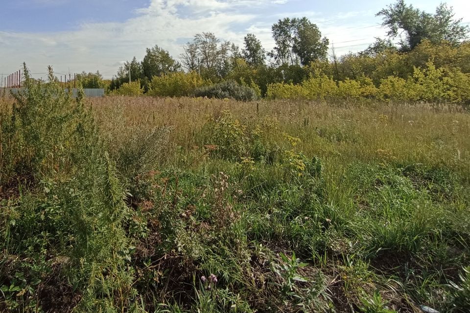 Поселок ростовка. Добро пожаловать поселок. Новомосковка омская область. Поселок ростовка омск. Пос ростовка омская область фото поселка.