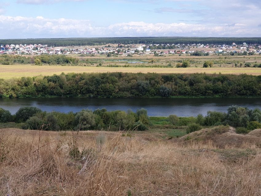 Устье Воронежская Область Хохольский Район Купить Дом