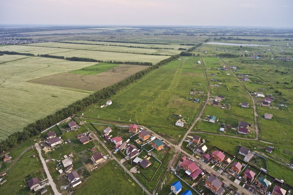 Поселок центральный барнаул. Посёлок Центральный Барнаульски. Зеленый луг Алтайский край. Поселок Радужный в городе Сергач.