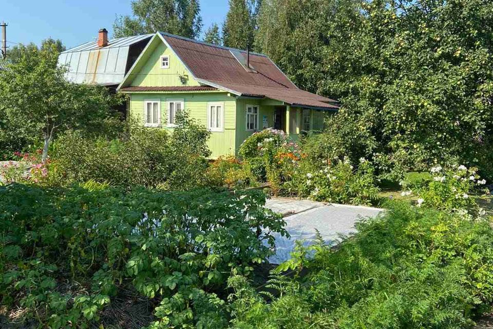 Фото Садоводов Кировской Области