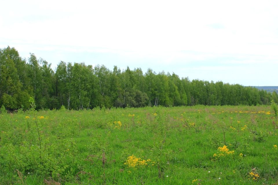 Заокский симоново. Симоново Заокский район. 600 Соток.