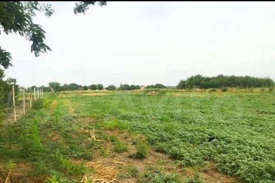 Село пешково азовского. Пешково Азовский район улица Калинина. Поселок Южный Азовского района Ростовской области. Участок в Пешково Азовский район Ростовская область. Пешково 48