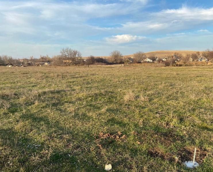 Погода село урожайное симферопольский. Село Урожайное Крым. Урожайное Крым фото.