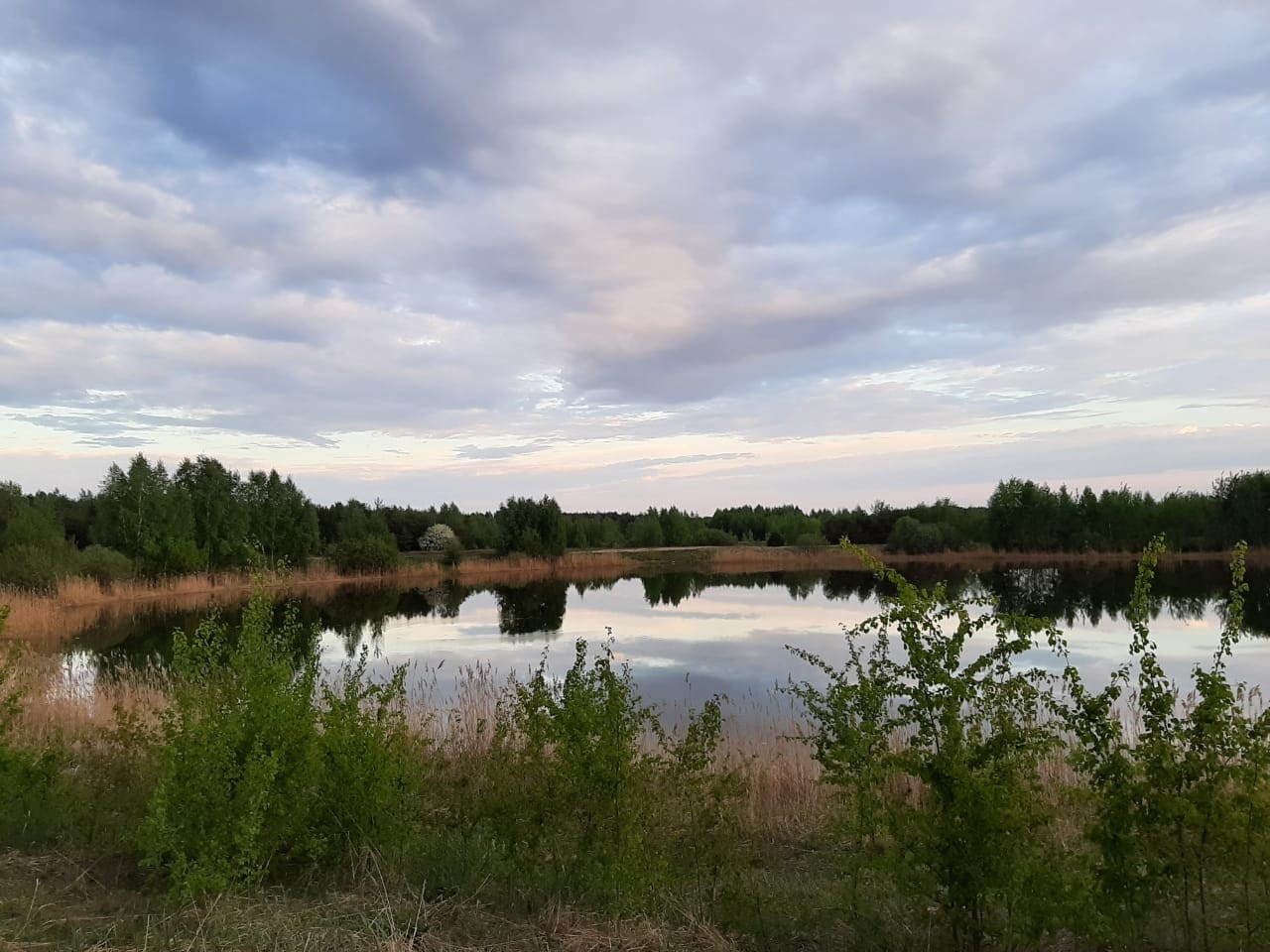 Купить Участок В Полково Рязанской