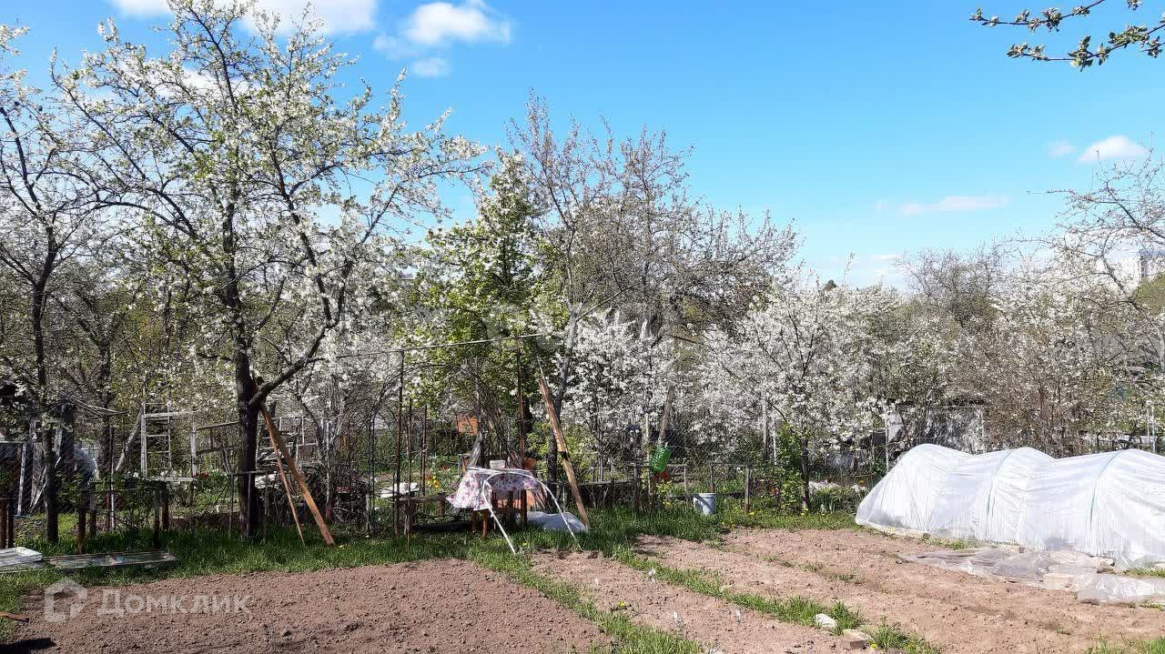 Купить Сад В Приокском Районе