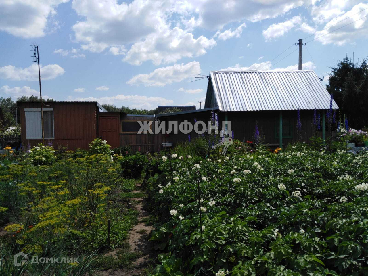 Снт Новолуговое Новосибирск Купить Дачу