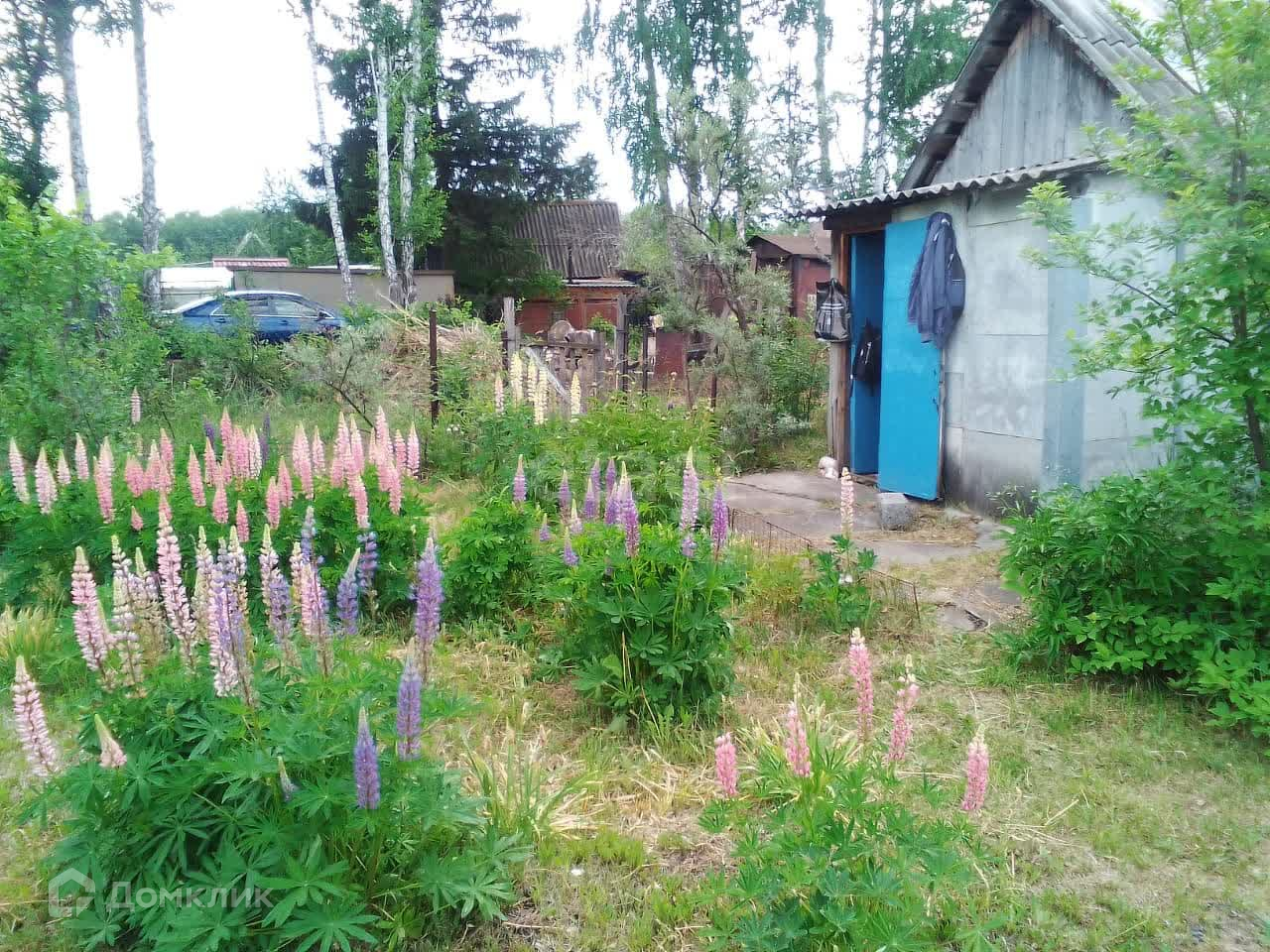 Купить Дом В Снт Садовое