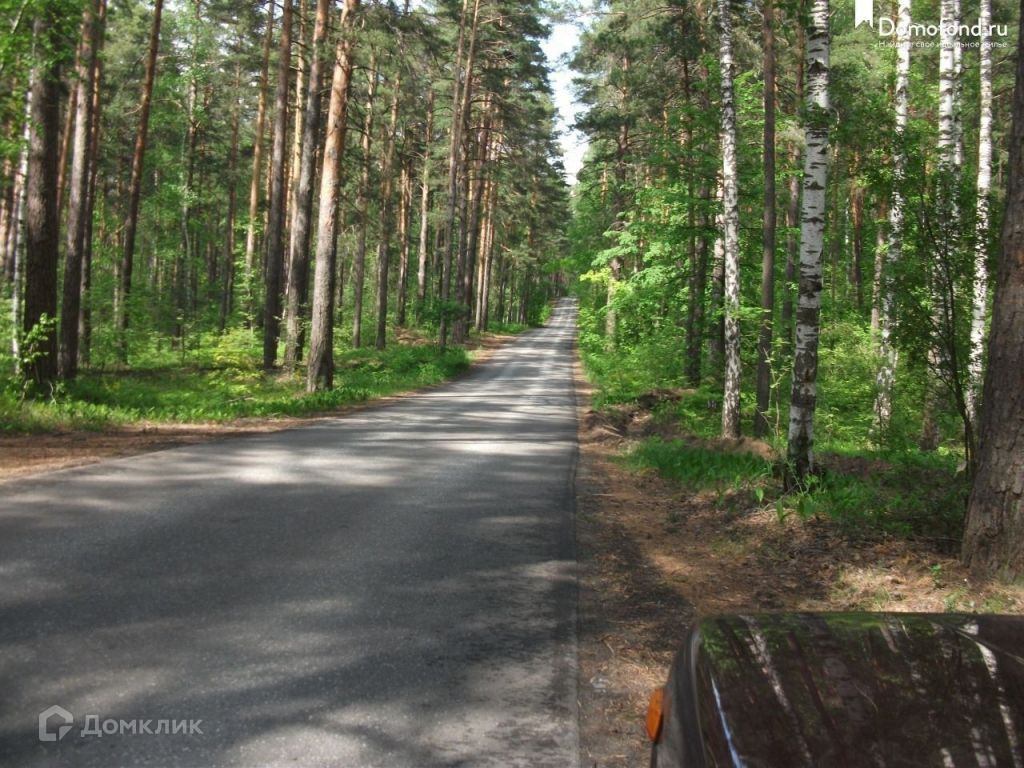 Бору или боре. Зеленый Бор Казань. Зеленый Бор Боровое Матюшино. Зелёный Бор Казань лес. Дорога в Боровое Матюшино Казань.