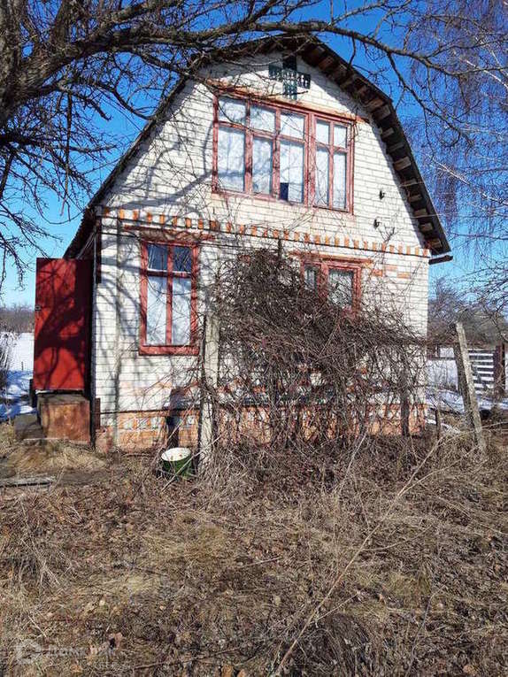 Снт камыши. Снт камыши. , г. Снт камыши. Снт камыши пенза.