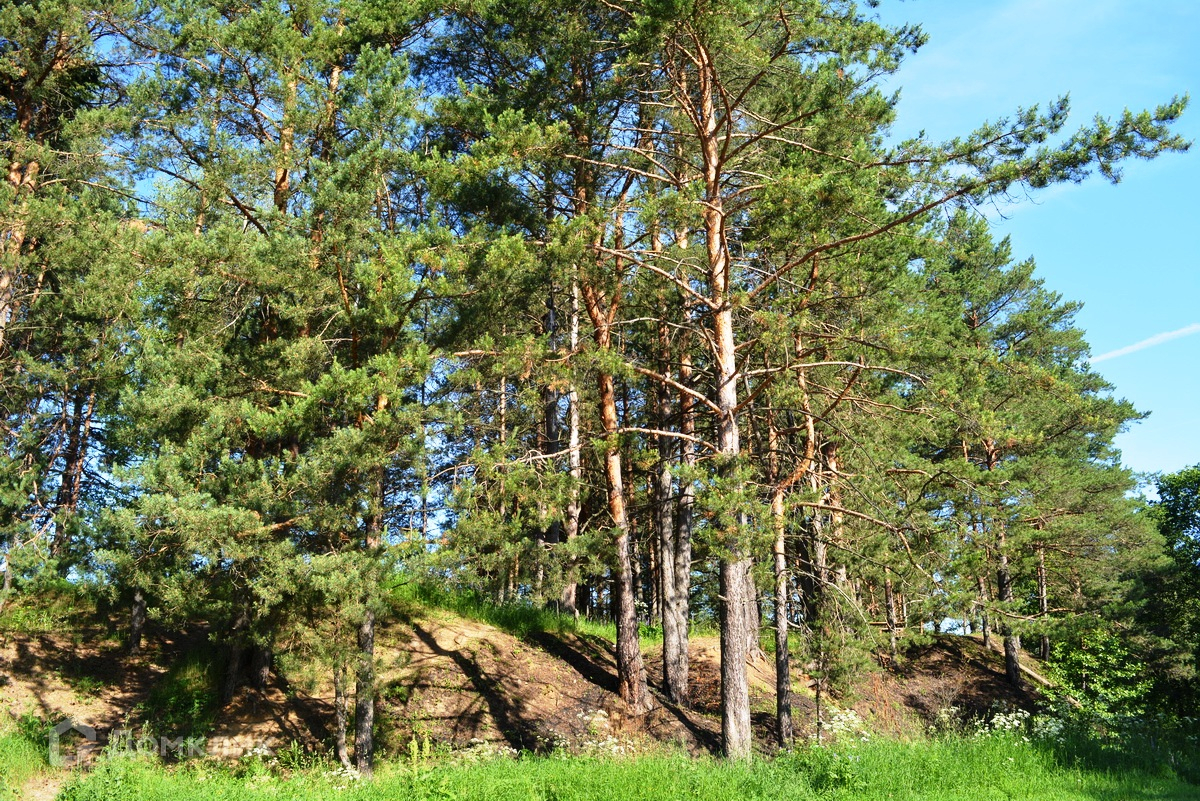 Село архангел владимирская. Село Архангел Владимирская область. Село Архангел.