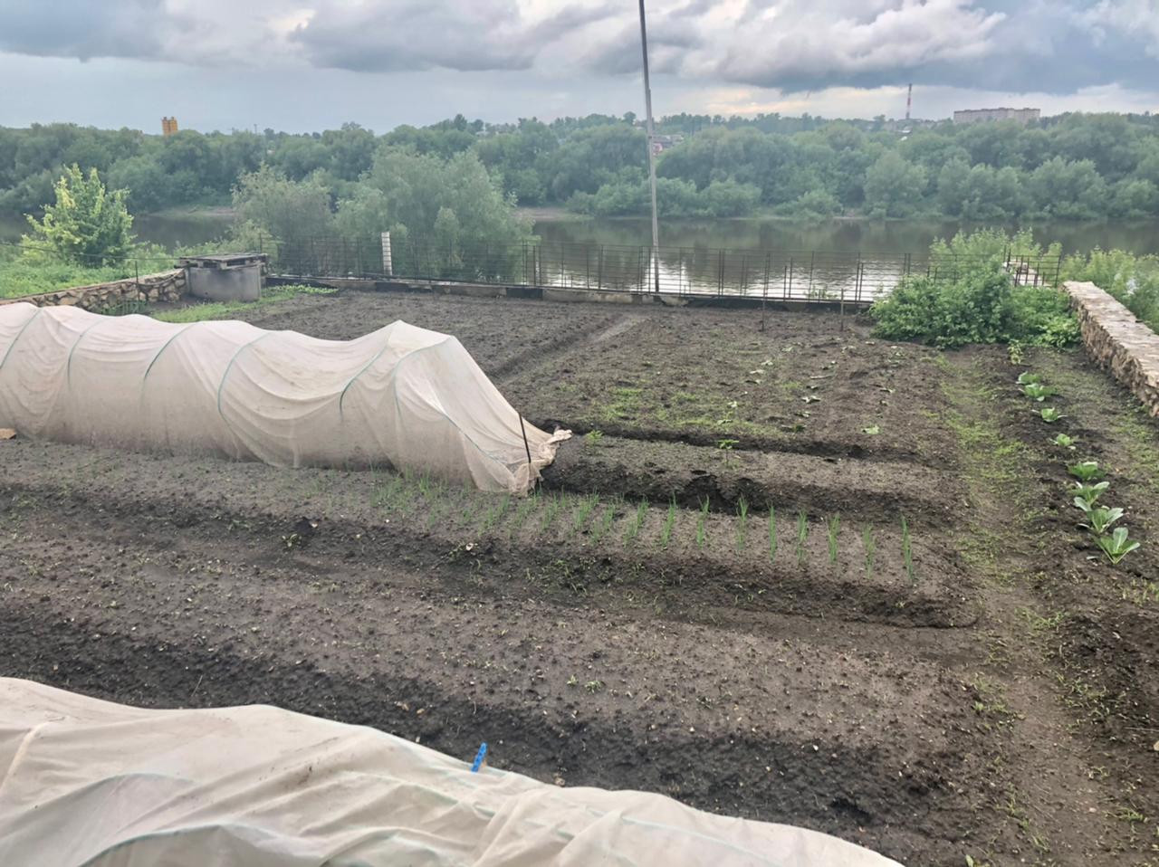 Купить Земельный Участок В Алексине Тульской Области