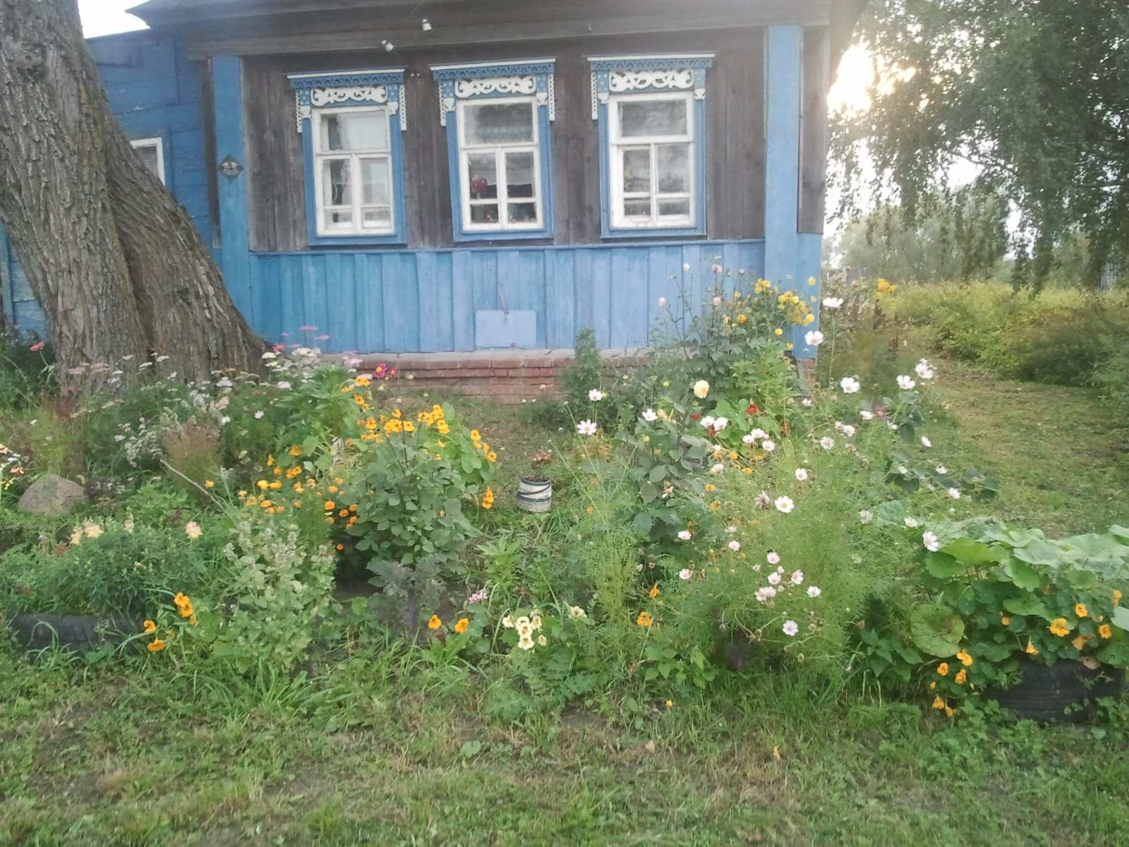 Купить Дачу В Нижегородской Области Недорого