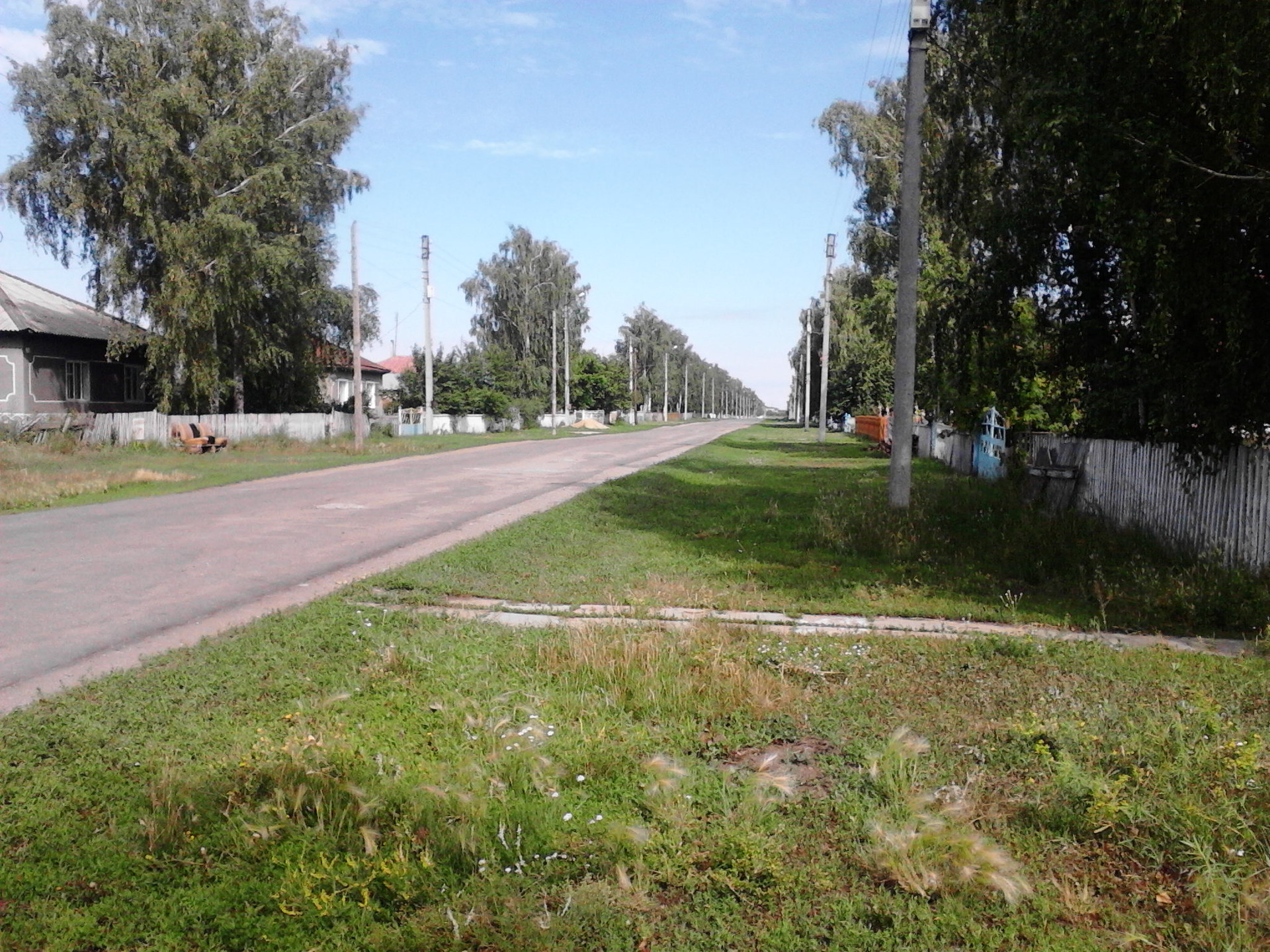 Погода протасово немецкий национальный. Село Полевое Алтайский край. Полевое ННР. Село Полевое Свердлов.