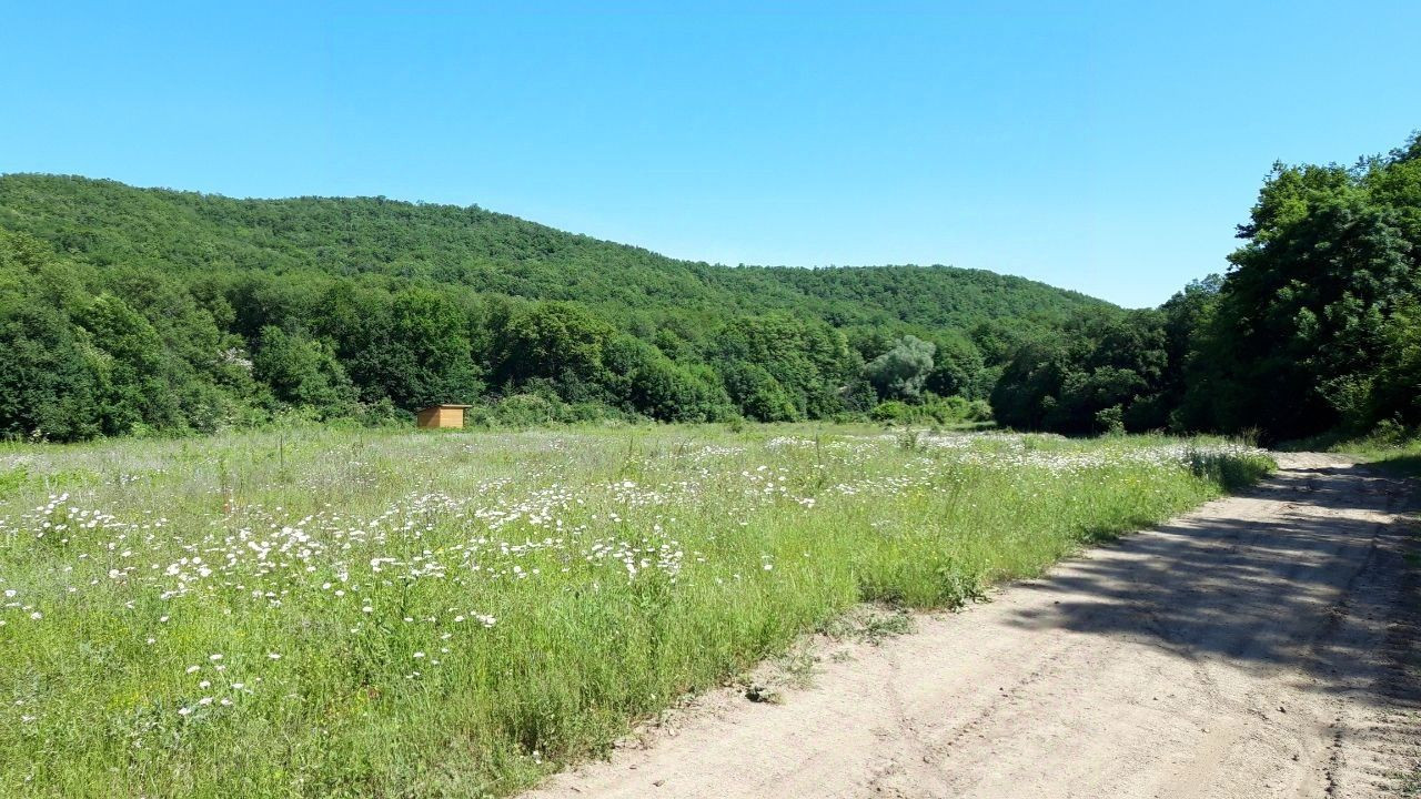 Верхоречье Крым. Верхоречье Бахчисарайский район фото. Бахчисарай Верхоречье расстояние. Верхоречье резаная.