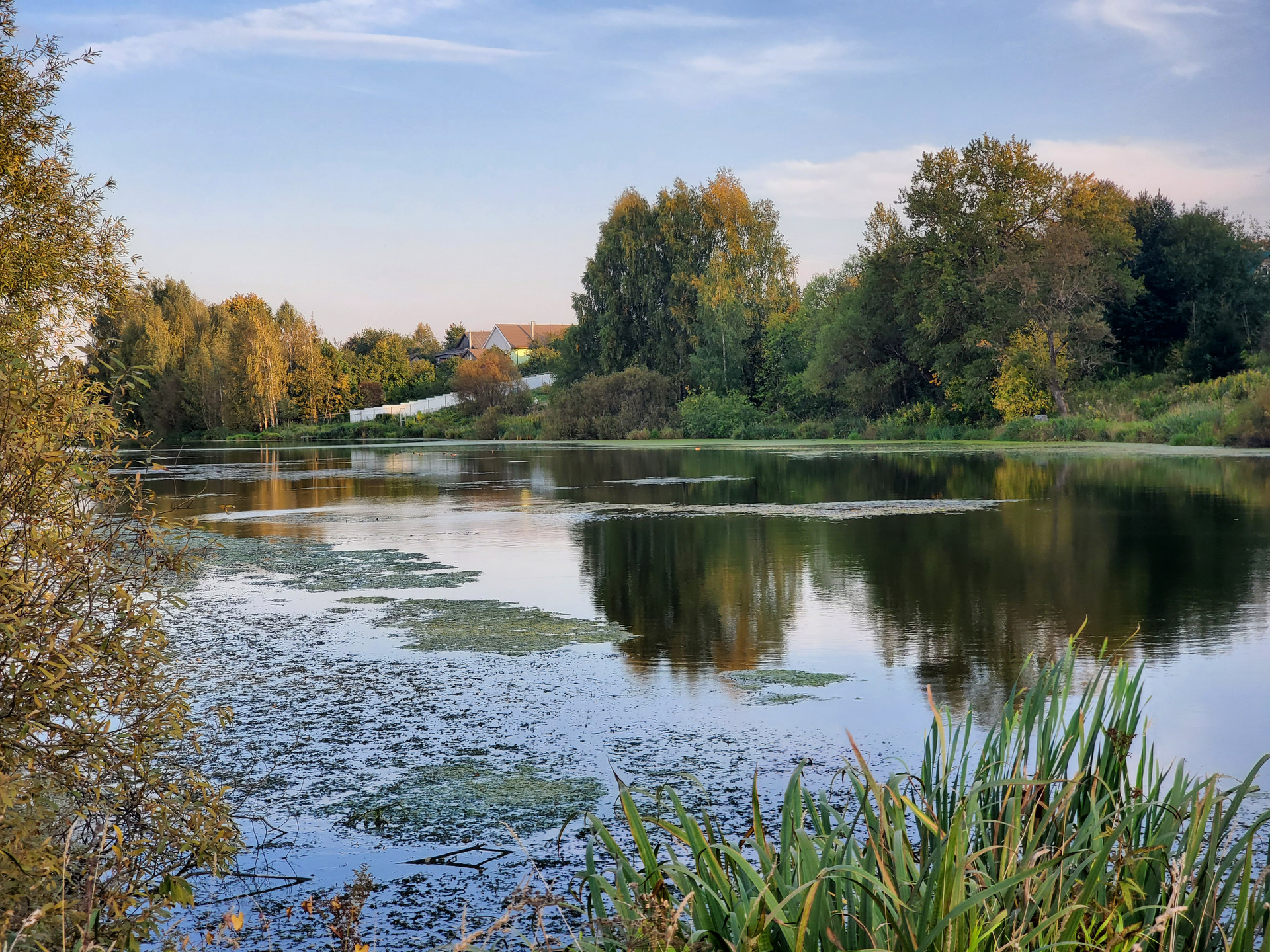 Софрино тютчева 18