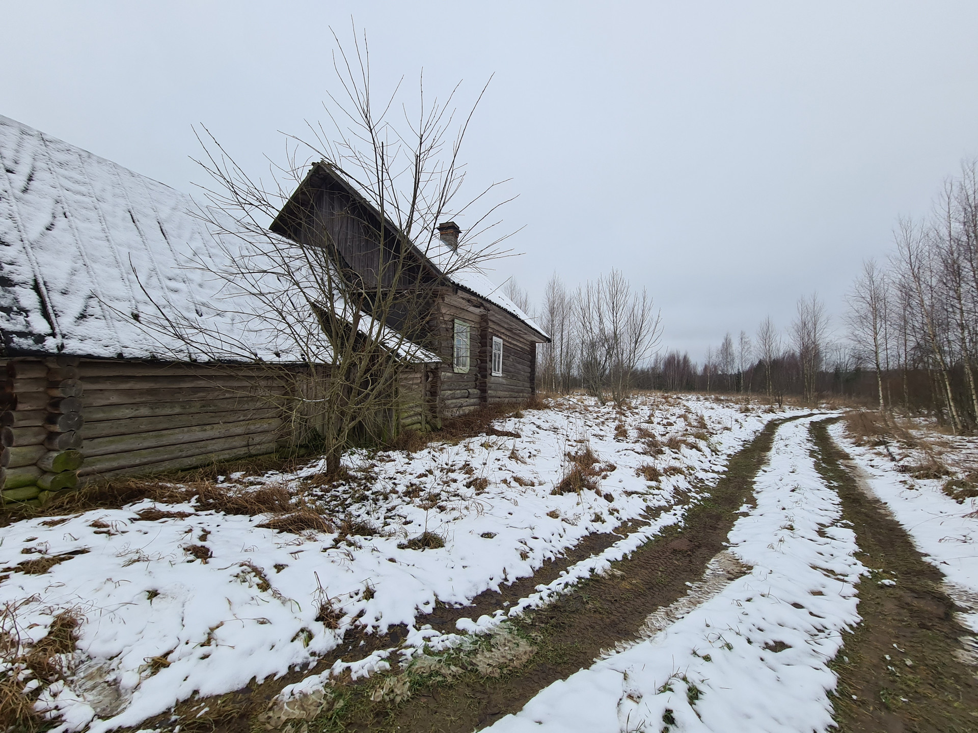 Деревня саба лужский район дом кинчева фото